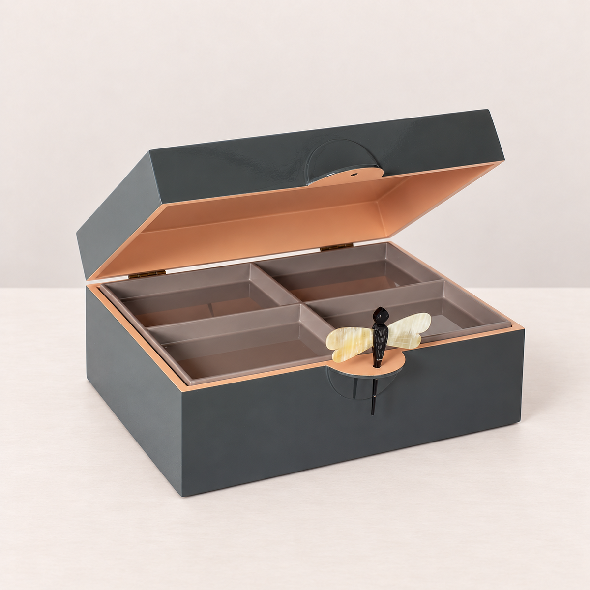 Caja libélula carbón