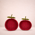 Cesta Tomate — vista principal (Bárbara Bogas)