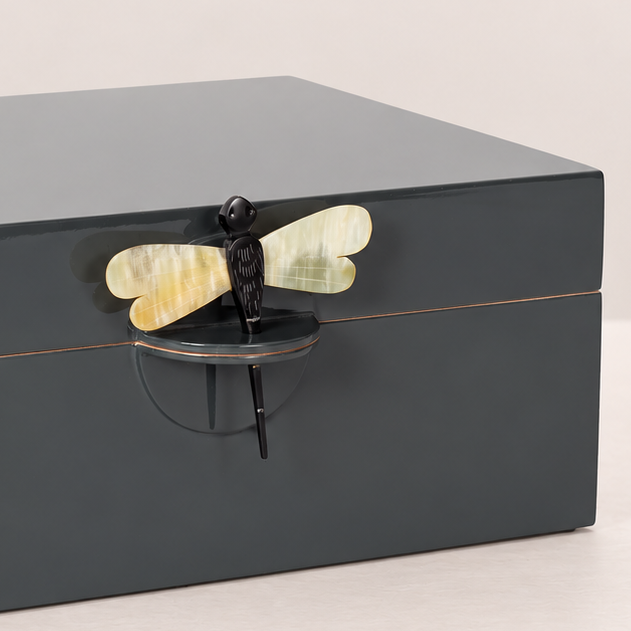 Caja libélula carbón