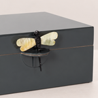 Caja libélula carbón